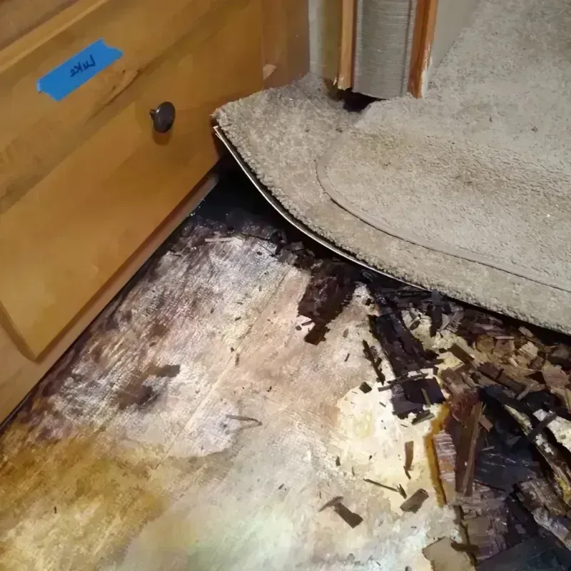 Wood Floor Water Damage in Sugar Land, TX